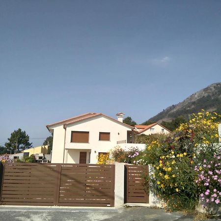 Rooms Peregrinos A Casa Alicia Rosal Dış mekan fotoğraf